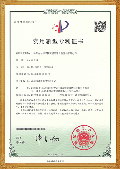 一種具有包括揉性薄膜的輸入裝置的家用電器證書